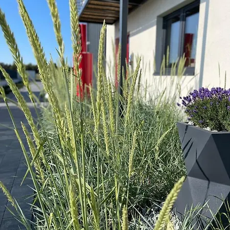 Loox Ostrovo- Boutique House-noclegi Nad Morzem Apartament *