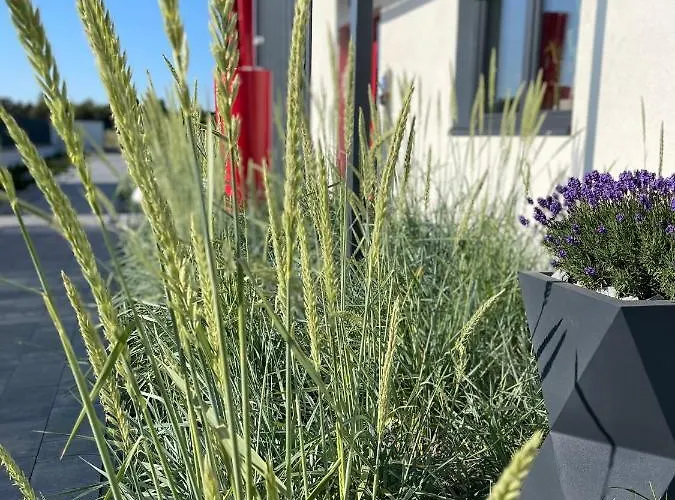 Loox Ostrovo- Boutique House-noclegi Nad Morzem 公寓 *